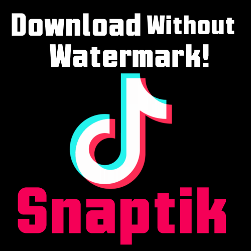 SnapTik MP3 & MP4 Downloader